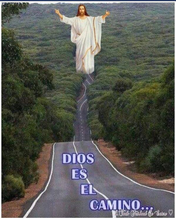 rojitotomas's tweet image. 