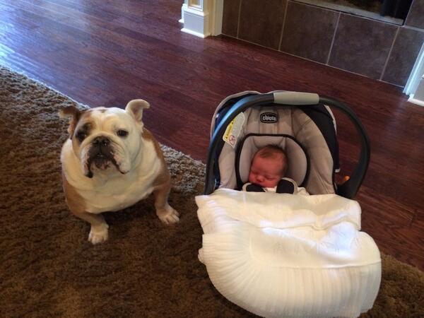 will_fisackerly's tweet image. Charlie welcomes George home.