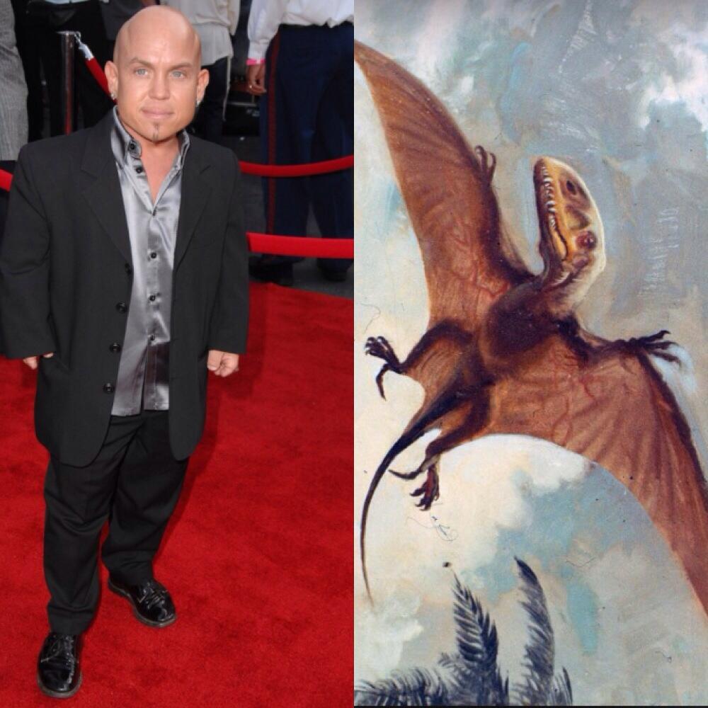 Bqma1GCIcAA_cGc.jpg:large