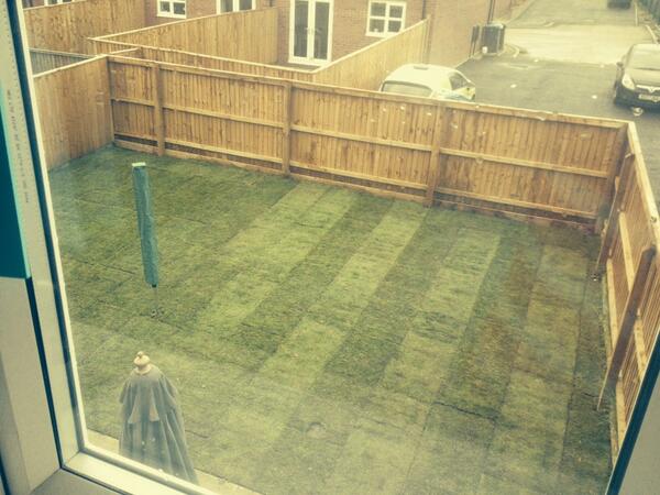 Spym1973's tweet image. He's so proud of his grass bless him!
