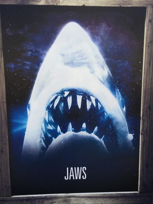 SharkJamGame's tweet photo. Went 2 @UniStudios today, ask this guy 2 B in @SharkJamGame but he wanted to much. What a Prima Donna http://t.co/5RhKq4Zn4J
