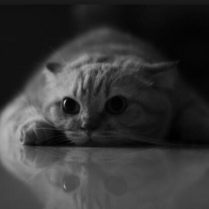 I'm just sitting here like