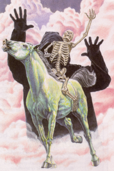 hoodbats's tweet photo. YE-HAW http://t.co/UObt56nDYF