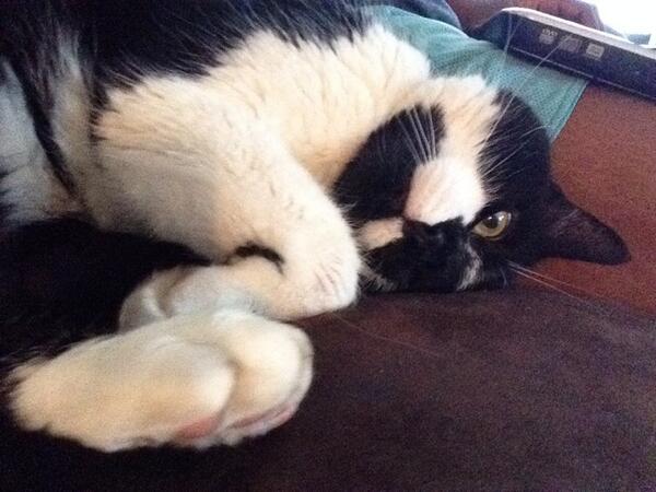 wildnjuicy's tweet image. When u tryna sleep &amp;amp; some1 comes in your room - looking at them w 1 eye open  #LikeReally