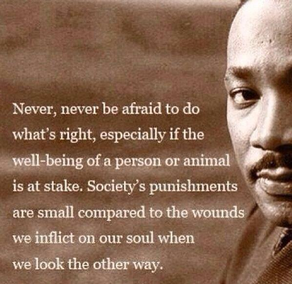 _Paul_And_'s tweet image. 