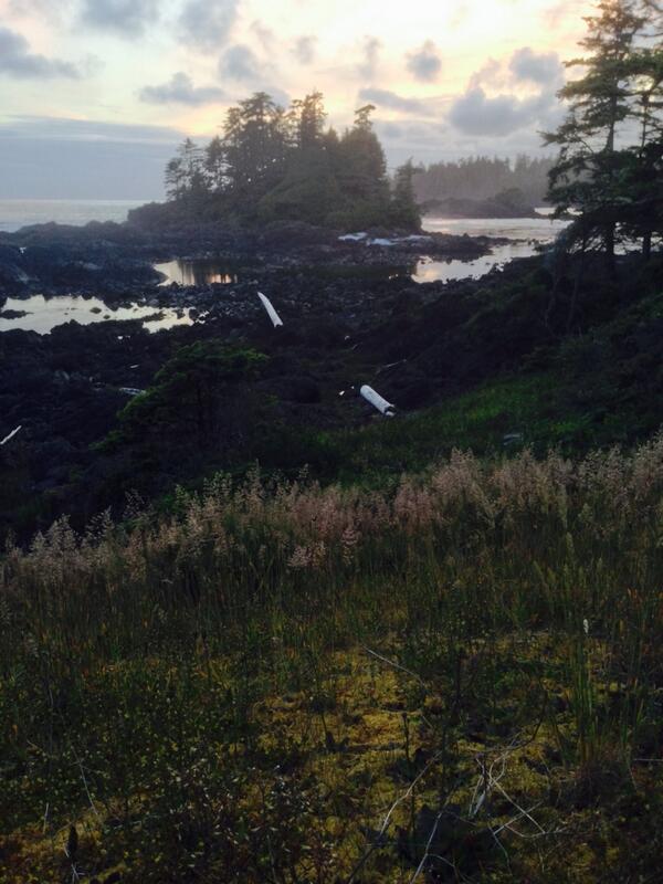 KarenJRussell's tweet photo. Sometimes when you run, you end up here?! :) @aimeerawson http://t.co/Y2xPzPFLYM