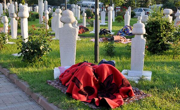 Edirne'de ilginç görüntü! Mezar taşlarının arasında... cnnturk.com/haber/turkiye/…