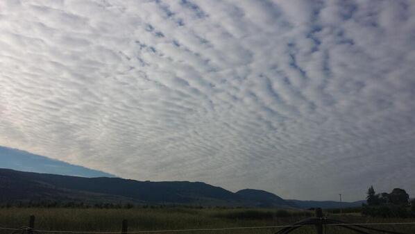 BallisticMikeCA's tweet image. @Chem_trails We get it all the time in #britishcolumbia too. #chemtrails #weathermod #geoengineering (1of2)