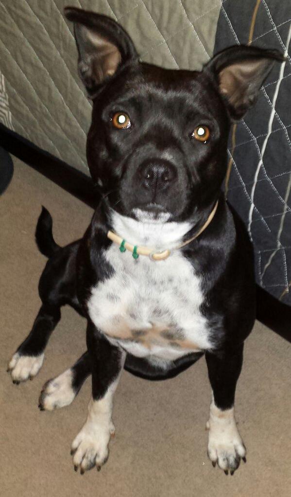 jajaj esperandome en la habitacion