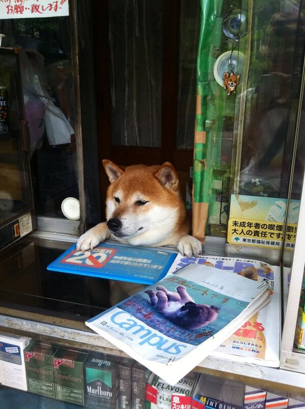 在 Twitter 上查看 U2game Sawagi 的推文 Twitter