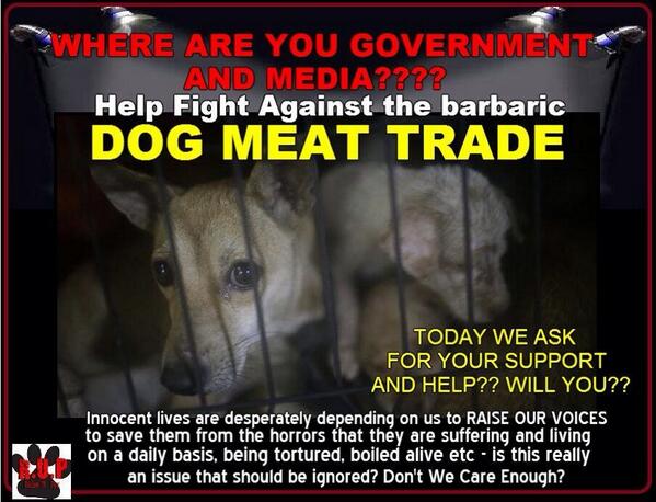 DidiFrench's tweet image. #YulinGetDogsOffTheMenu It&apos;s time for change @ChinaRealTime @XHNews @WCSChina @cnni @ITV @itn http://t.co/LyUsS1GRcd” #Educate--&amp;gt;EVOLVE