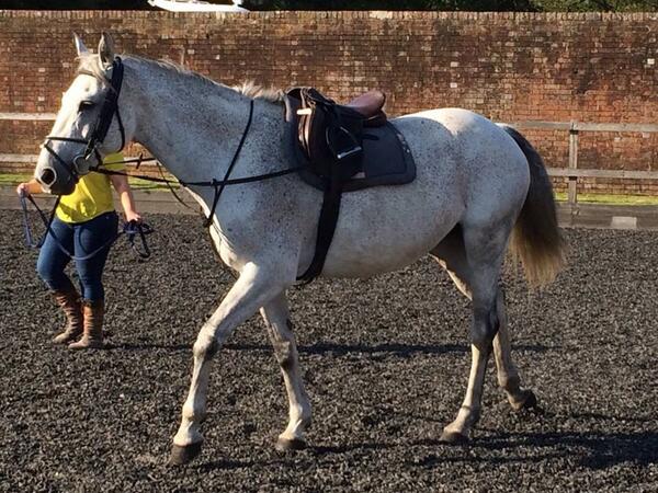 Kelly Dady tweet media