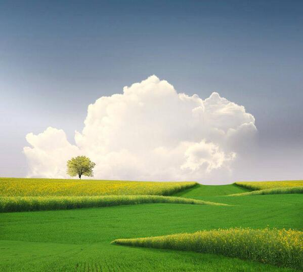 Gabriele_Corno's tweet photo. The green mile........ by Caras Ionut http://t.co/F3f7x0WcG0