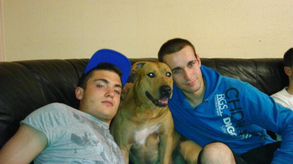 xabilasheras's tweet photo. @aduremz @JonanderIturri mis perricoss tronnnko http://t.co/swiq3XGt2t