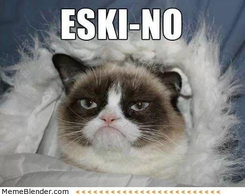 grumpy__cats's tweet photo. エスキ「No!!」 https://t.co/MIIuHRqz5s #grumpycat  #グランピーキャット