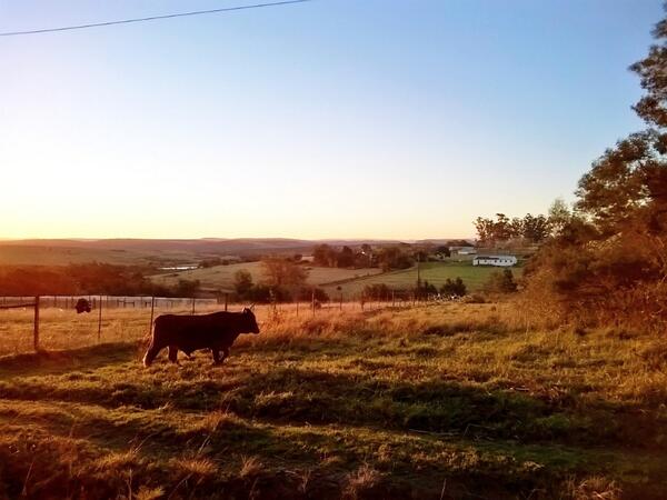 lead_sa's tweet photo. Its not only seaside scenery in the Eastern Cape. Agriculture plays a big part in the area #RepYourProvince #FLTweets http://t.co/yj4jHW16fU