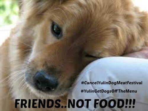 Whatsaysjen's tweet image. FRIENDS NOT FOOD!!! #stopyulindogmeatfestival #YulinGetDogsOffTheMenu #cancelyulindogmeatfestival STOP THE KILLING!!!