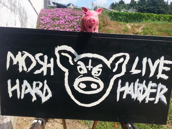 BurnAfterMe's tweet photo. Our pig says #MoshHardLiveHarder 
#BAM #Mosh #Mascotte #BurnAfterMe http://t.co/L3WKdefyGy