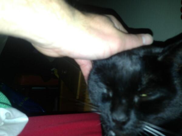 addaball's tweet photo. Gettin me a lil morning head http://t.co/CRDYBnEeT1