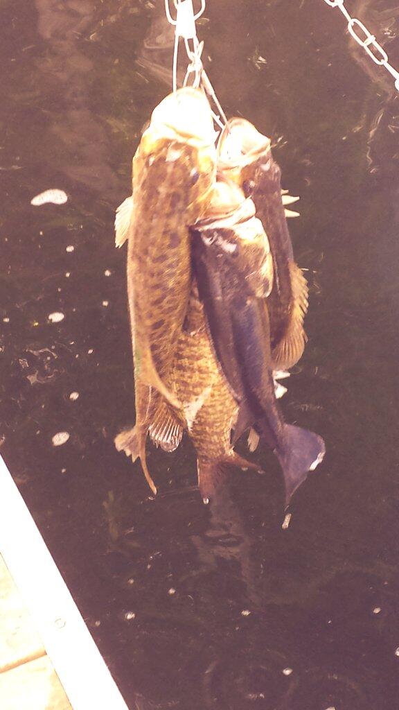 JDHooves's tweet photo. Were going fishin next weekend @Ferland_A @R_Wheely http://t.co/Iu3WOWRYuo