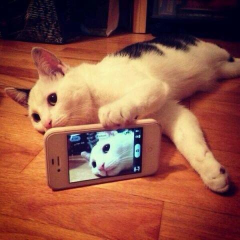 Yangjiru's tweet photo. セルか~^_^ㅋ http://t.co/G0RMC1j7wl