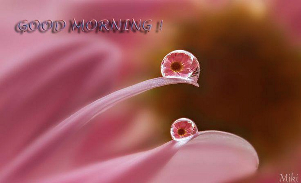 PamelaSavesU's tweet photo. #wearethepeople  Make it a Good Morning and Enjoy YOUR Day ! http://t.co/WPa14hZfCq
