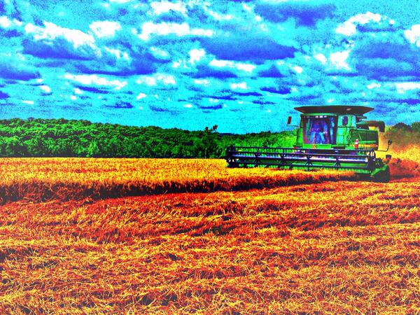 MichaelFarson tweet picture