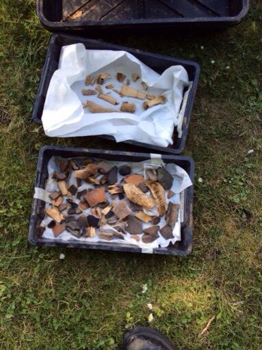 oakingtondig's tweet image. Some of the finds today's lovely volunteers washed. Good job guys! #oakingtondig