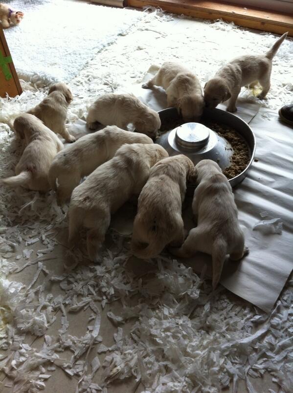 RosPorter's tweet photo. Question is, which one shall we have#allofthem#decisions http://t.co/sGLykgASXi
