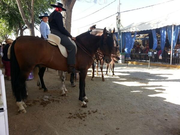 Marianin3's tweet photo. Presioso http://t.co/PlwmMwNaQS