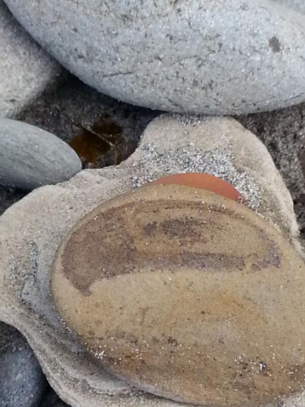 Sherry3702's tweet photo. Beach time in the Pacific Northwest http://t.co/Vs9JDoPhGF