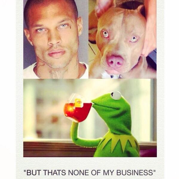 DaNiggaKermitt's tweet photo. #ButThatsNoneOfMyBusiness 😂 http://t.co/ffKWM0XJ16
