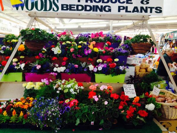 Plenty of more plants next week