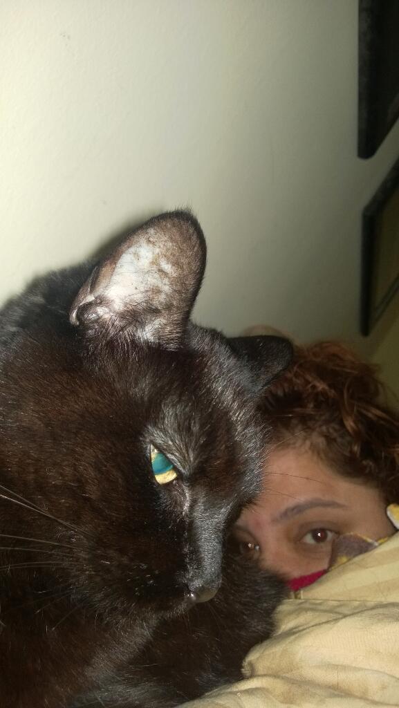 xskooz_me's tweet photo. Happy soltice. I slept well. Day four
#tendaysof #bedhead http://t.co/NkA1cQm8sd