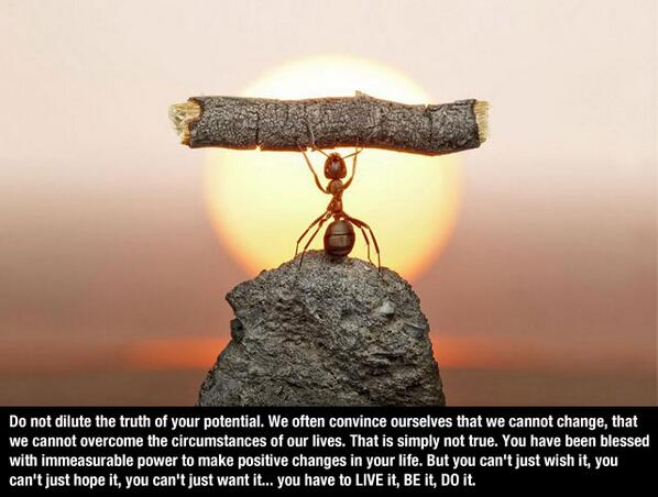 SoGoForIt's tweet image. Be what you want to be! Don&apos;t let anything stop you.