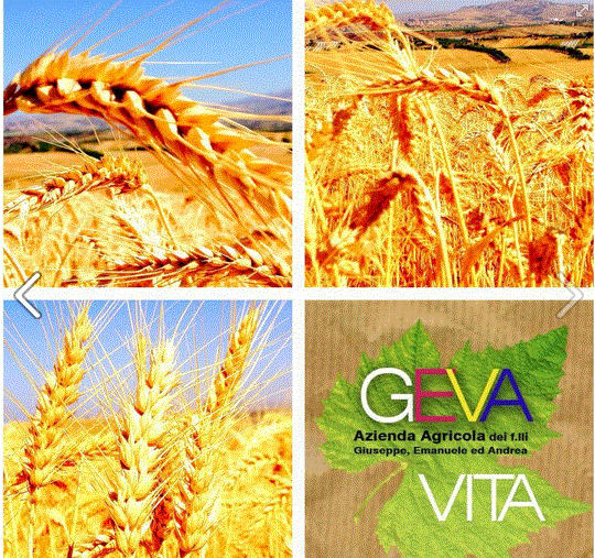 Grande giornata oggi, in compagnia del nostro Sponsor! 
Arripigliala... work in progress! ;)