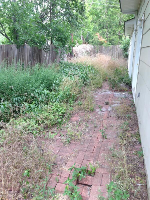 Hilldoghamilton's tweet image. Time to tame the beast. #yardday @turntopaigeone