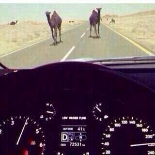 خالد ال سعود (@oodykal) on Twitter photo 