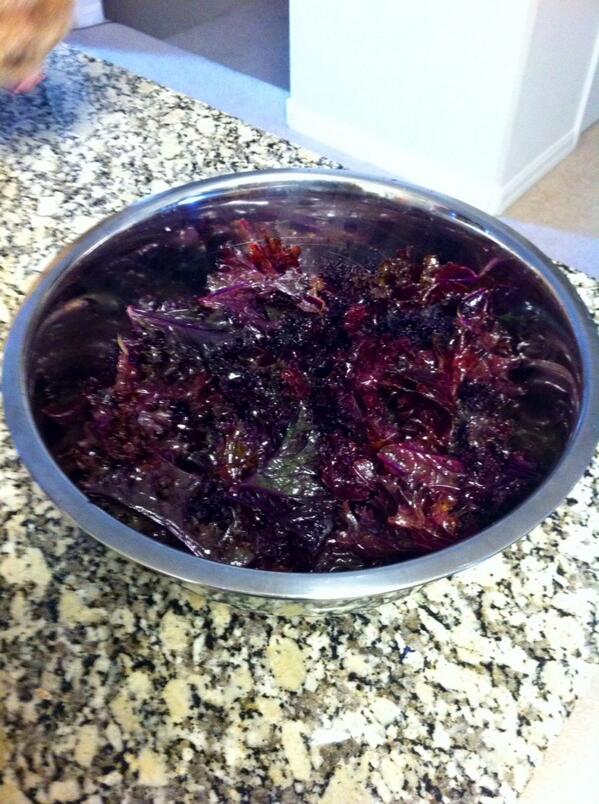Purple kale! #phytonutrients #lovemysalad #eatright