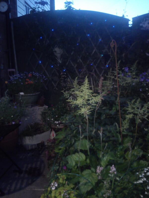 stockportbear's tweet image. It seems that only two of my colour changing lights are actually changing colour #FaultyWiring