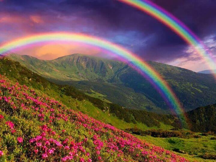 BqrxVldCYAAW92G.jpg:large