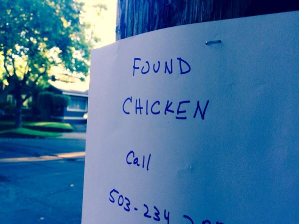 KyleIboshi's tweet photo. Missing dog? No. Missing cat? No. Missing chicken? Yes!!! #classicportland #portlandia http://t.co/ooPNMYhjLh