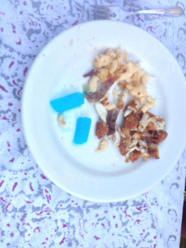 First day of summer. #otterpop #crownq