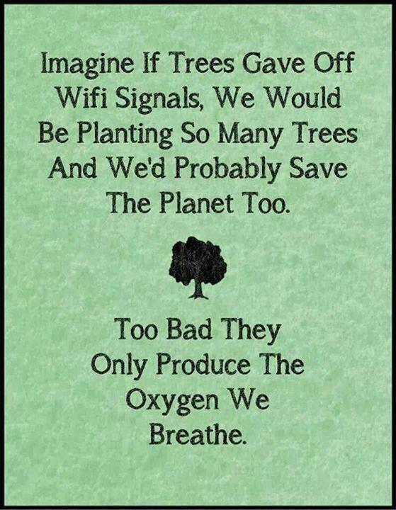 incredibleviews tweet picture