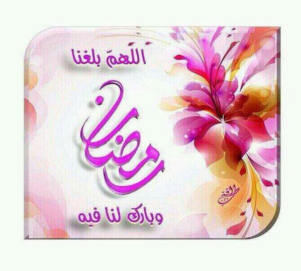 سعد بن منسي الغامدي (@smf7852) on Twitter photo 