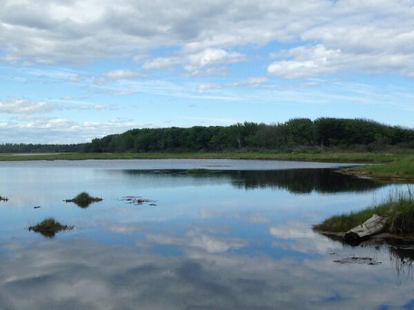 aengelhardt's tweet photo. The bugs sure seemed to enjoy the flavor of my bug spray, but it was worth it for the view #maine http://t.co/N2uvoJUDc6