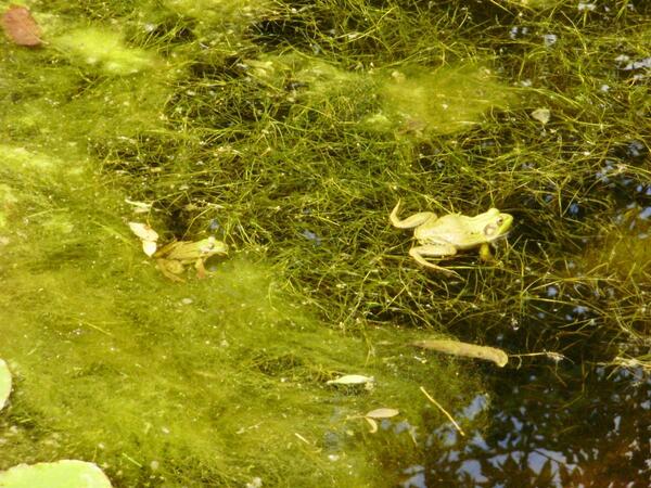 gabyLariviere's tweet image. @jstabila 😀
#1When i get old, i want to be like my daddy...