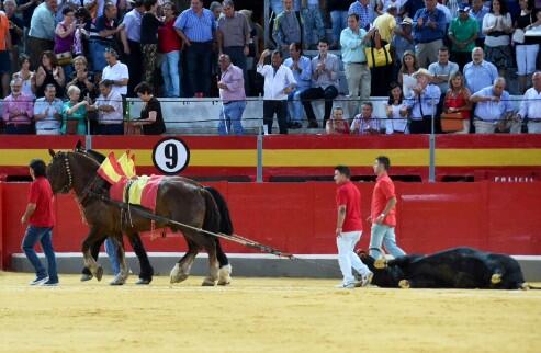 InfoDanielLuque's tweet photo. Granada 21/06: 
"La tarde en imágenes"
Fotos de @Mundotorocom #CarmenMoya / @torosgranada http://t.co/pgZtOsrHo1