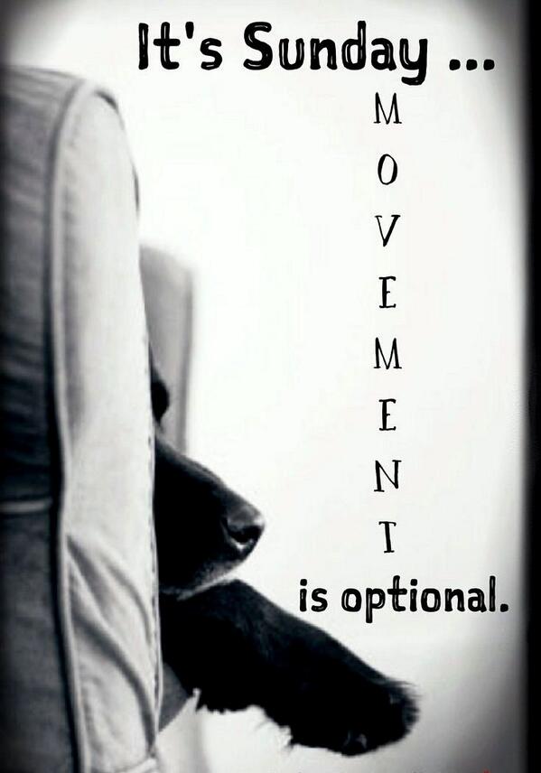 minimoversau's tweet image. #MovingYourself is optional, but hiring a professional #MovingCompany to ensure a #SmoothMove… now, that's essential!