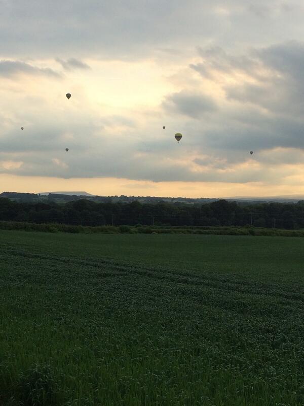 And there's more! #lovebedale